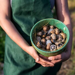 Experience Snail Farm